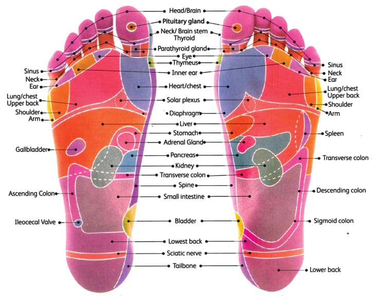 Foot Reflexology Massage Benefits and Treatments in Chennai