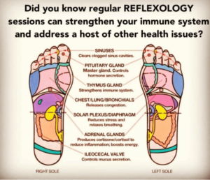 foot-Reflexology-in-chennai-Session